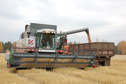 План на новый урожай: не менее миллиона тонн зерновых и масличных отправят из Красноярского края