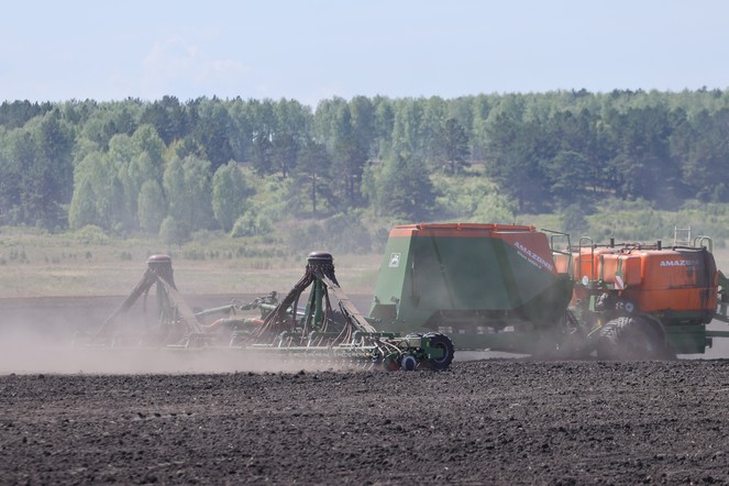 Агропромышленные предприятия Красноярского края получат поддержку на проведение полевых работ