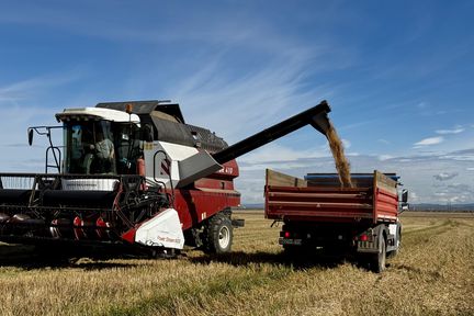 Аграрии Красноярского края завершили уборочную