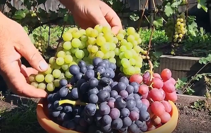 Программа "О хлебе насущном" (23.04.2022)