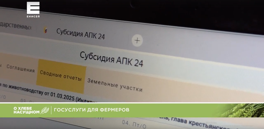 Цифровой сервис для аграриев — какие плюсы отмечают пользователи сервиса «Субсидия АПК 24» и что говорят специалисты?