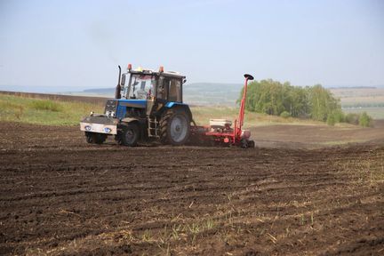 Предварительные итоги посевной в Красноярском крае: аграрии перевыполнили план по посадке картофеля и овощей
