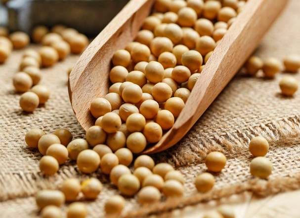 Программа "Знак земли": аграрии Красноярского края сделали ставку на сою