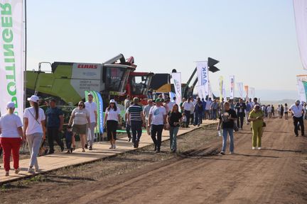 В Красноярском крае отметили традиционный «День поля»