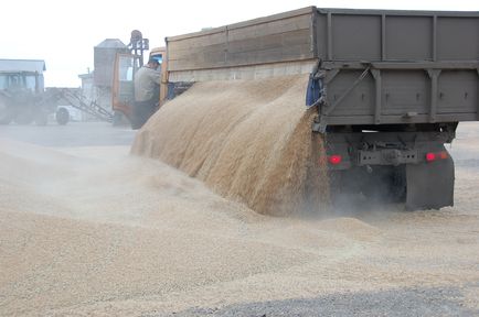 Центр «Мой бизнес» открывает приём заявок на софинансирование экспортных перевозок