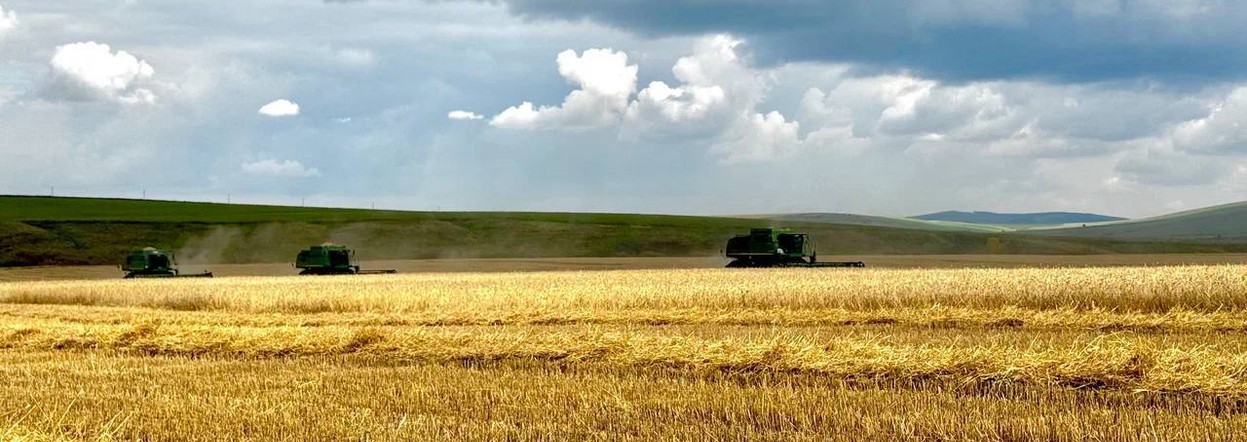 Михаил Котюков: В регионе есть все необходимое, чтобы масштабировать применение беспилотников в сельском хозяйстве