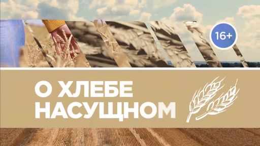В Красноярском крае набирает обороты посевная кампания