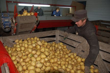 Два сельхозкооператива в Красноярском крае на средства поддержки купят спецтехнику и оборудование
