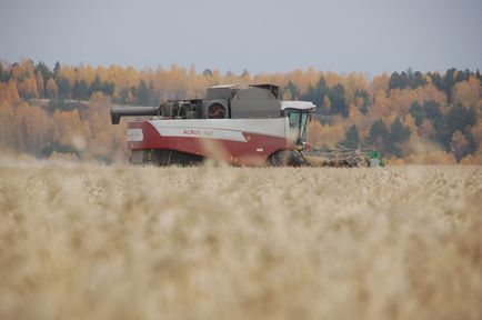 Красноярский край в 2021 году экспортировал продукции АПК на 32 миллиона долларов