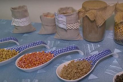 Программа "О хлебе насущном": Студенты пищевого института пробуют делать пармезан и хлеб с борщом