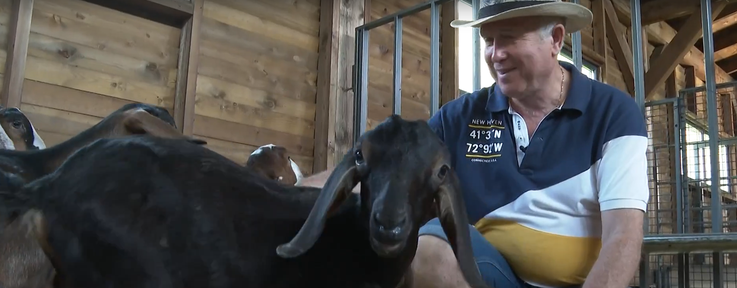 Программа "О хлебе насущном": сельское хозяйство - хобби, конкурс профмастерства