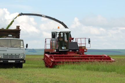 Погода позволяет аграриям Красноярского края высокими темпами заготавливать корма