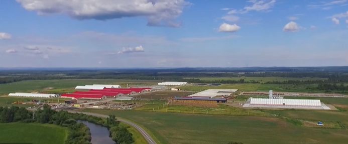 Программа "О хлебе насущном": заготовка дикоросов и знакомство с агроледи XXI века