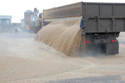 Центр «Мой бизнес» открывает приём заявок на софинансирование экспортных перевозок