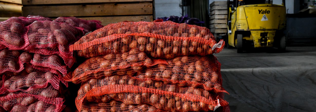 Принят краевой закон об агрокомплексе: в Красноярском крае будут поддерживать картофелеводов, развивать животноводство и племенное дело
