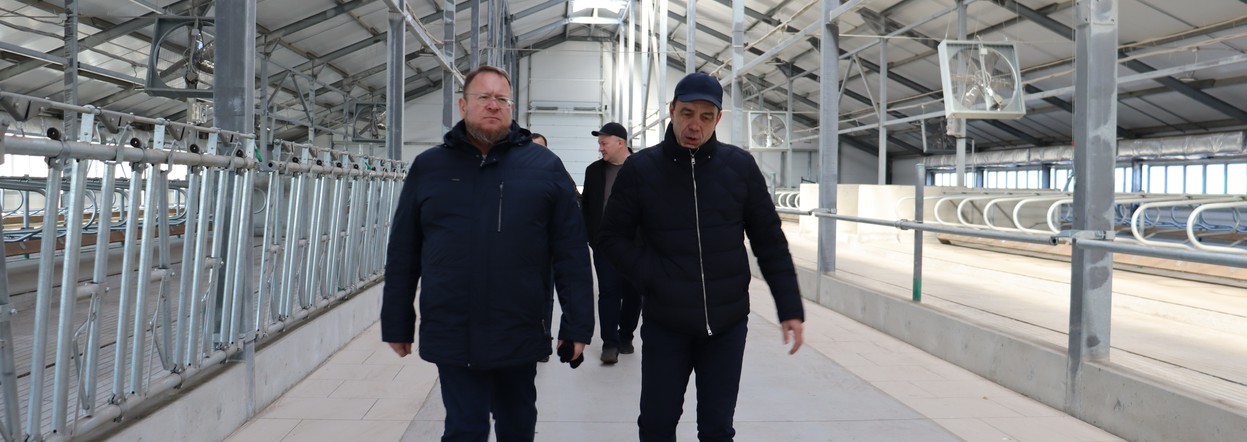 Модернизация АПК: животноводческие комплексы на юге Красноярского края увеличивают мощности